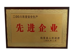 先進(jìn)企業(yè)